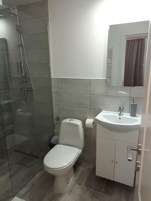Old Town Studio 2 Apartment Nr 4 Baia Mare Exterior photo